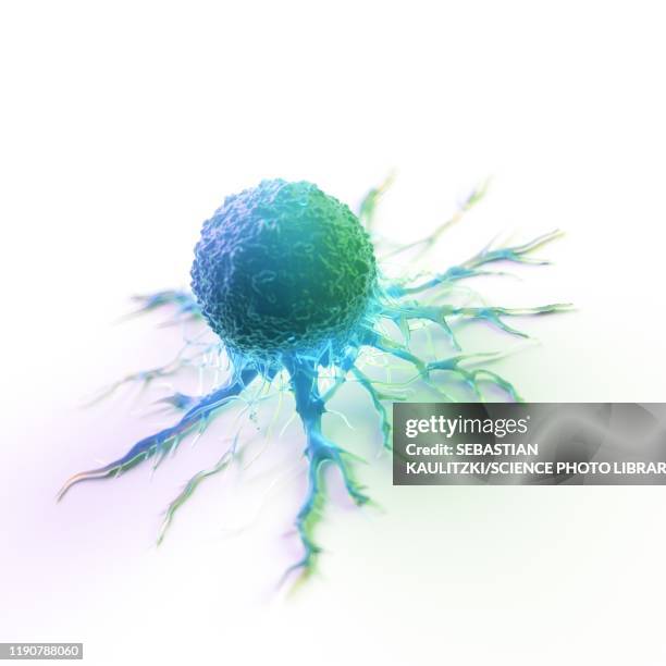 cancer cell, illustration - krebszelle stock-grafiken, -clipart, -cartoons und -symbole