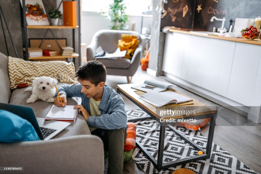 They always enjoy doing their homework together
