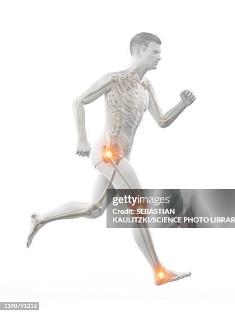 runner with joint pain, conceptual illustration - meniscus stock illustrations