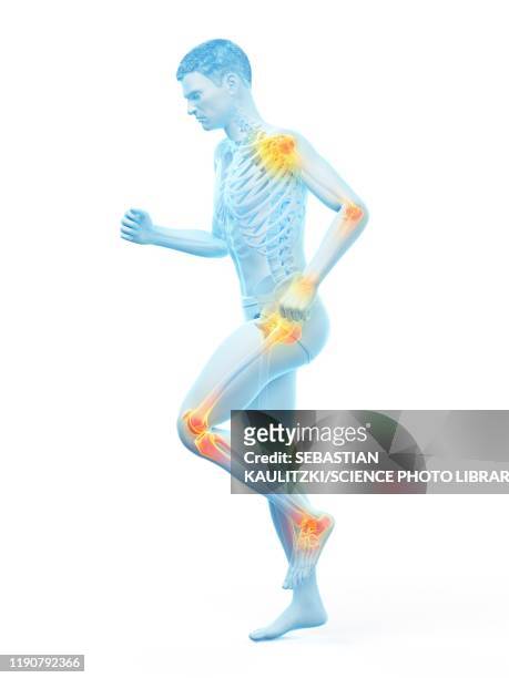 joint pain, conceptual illustration - hip anatomy stock illustrations