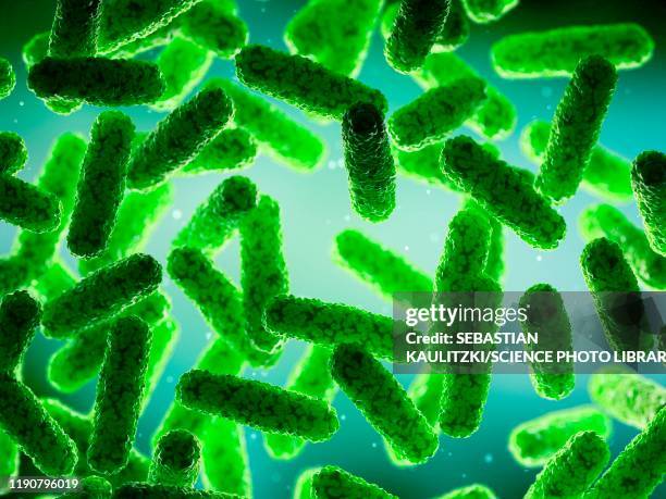bacteria, illustration - microbiome stock illustrations