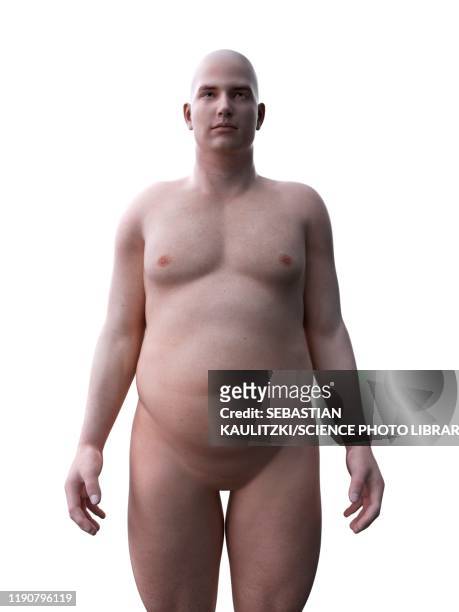 obese man, illustration - male stomach stock illustrations