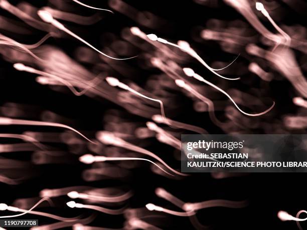 bildbanksillustrationer, clip art samt tecknat material och ikoner med sperm, illustration - spermie