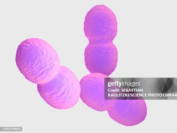 stockillustraties, clipart, cartoons en iconen met enterococcus bacteria, illustration - diarrhea