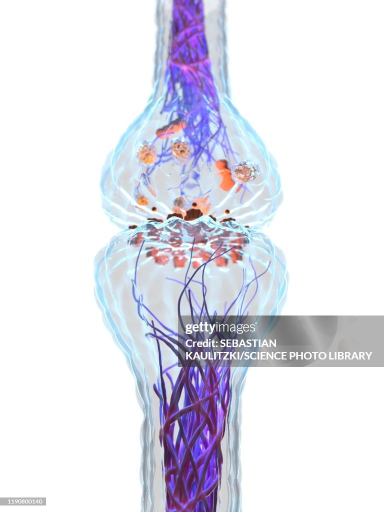 Synapes Drawing Synapse Illustration High-Res Vector Graphic - Getty Images