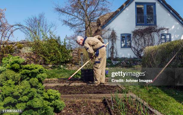 man gardening - spring denmark stock pictures, royalty-free photos & images