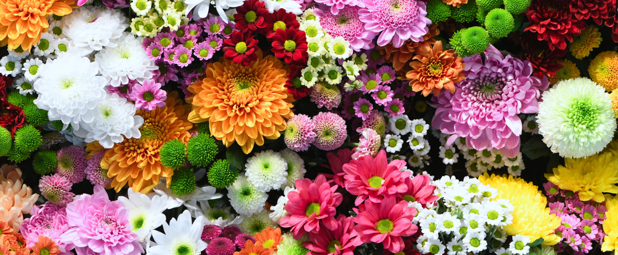 colorful floral arrangement