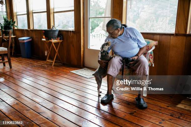 senior black woman patting the family dog - blue shoe foto e immagini stock