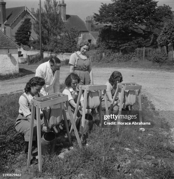 Land Girls learning to milk cows with the use of artificial udders in Sussex, England, during World War II, June 1941.