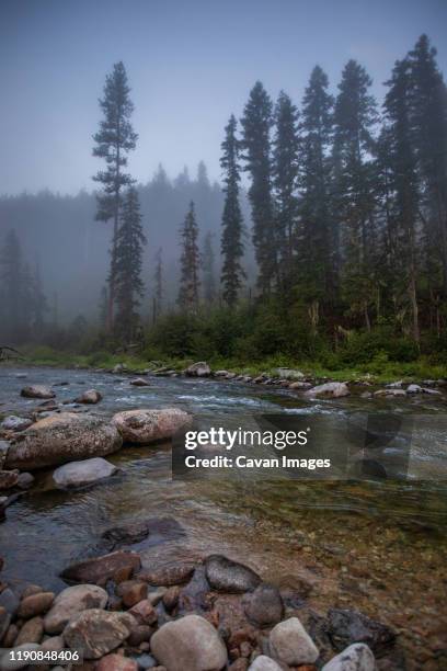 selway river in the nez perce national forest, idaho - idaho stock pictures, royalty-free photos & images