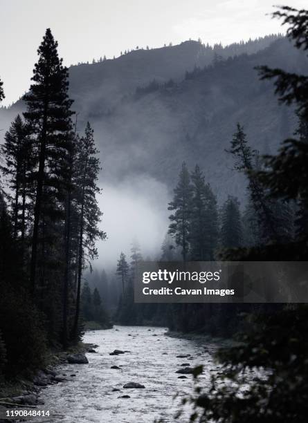 selway river in the nez perce national forest, idaho - idaho stock pictures, royalty-free photos & images