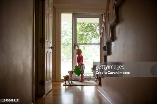 young boy opening the front door for dogs at home while holding tablet - iowa house stock pictures, royalty-free photos & images