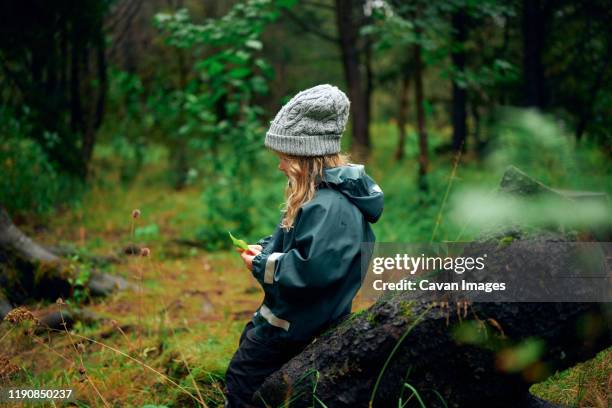 girl in warm clothing sitting on tree stump with leaves in hand - tree stump bildbanksfoton och bilder