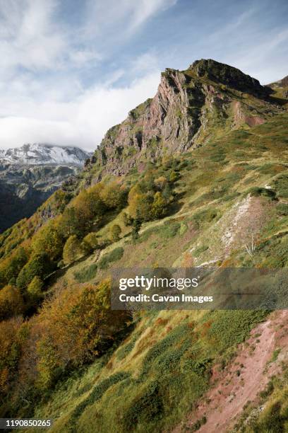 peaks in aspe valley in the pyrenees - abrupt forest stock pictures, royalty-free photos & images