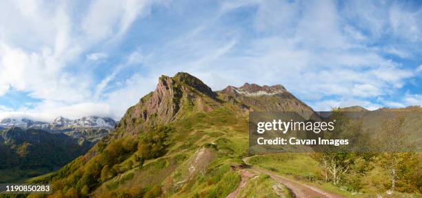 peaks in aspe valley in the pyrenees - abrupt forest stock pictures, royalty-free photos & images