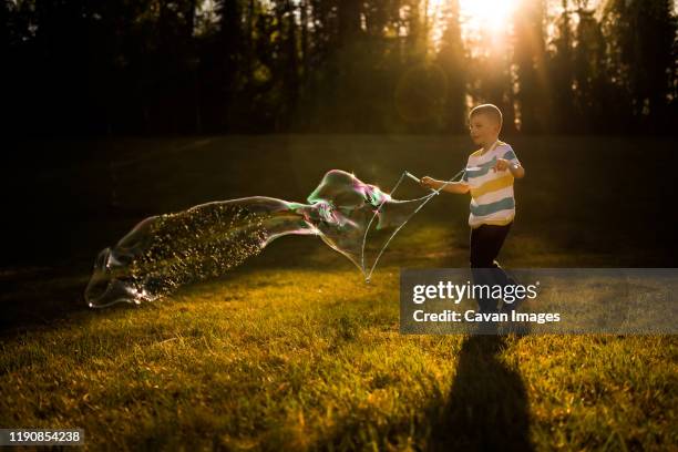 5 year old boy making giant bubble at golden hour - fort mcmurray stock pictures, royalty-free photos & images