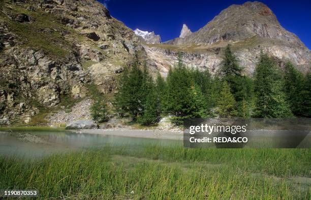 Marmotte Lake; Val Veny. Courmayeur. Aosta Valley. Italy.