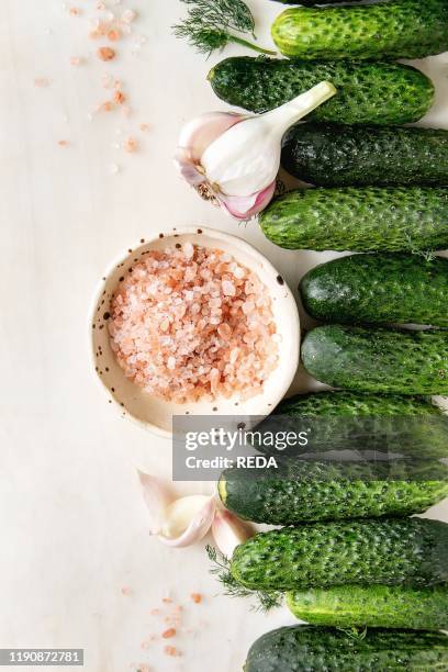 Fresh garden organic cucumbers in row ready for pickled with garlic. Dill and pink Himalayan salt over white marble background. Flat lay. Space.