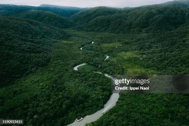 aerial view of winding river in mangrove forest, iriomote island, okinawa, japan - okinawa aerial stock pictures, royalty-free photos & images