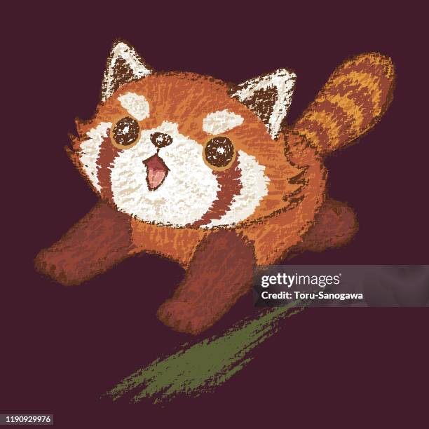 Red Panda Running High-Res Vector Graphic - Getty Images