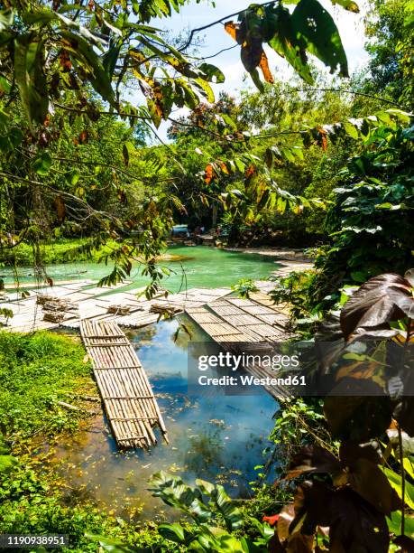 jamaika, region montego bay, rafting village, martha brae river, bamboo rafts - bamboo raft foto e immagini stock