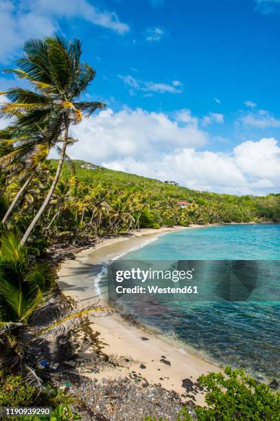 scenic view of sandy beach at industry bay, bequia, st. vincent and the grenadines, caribbean - bequia stock-fotos und bilder