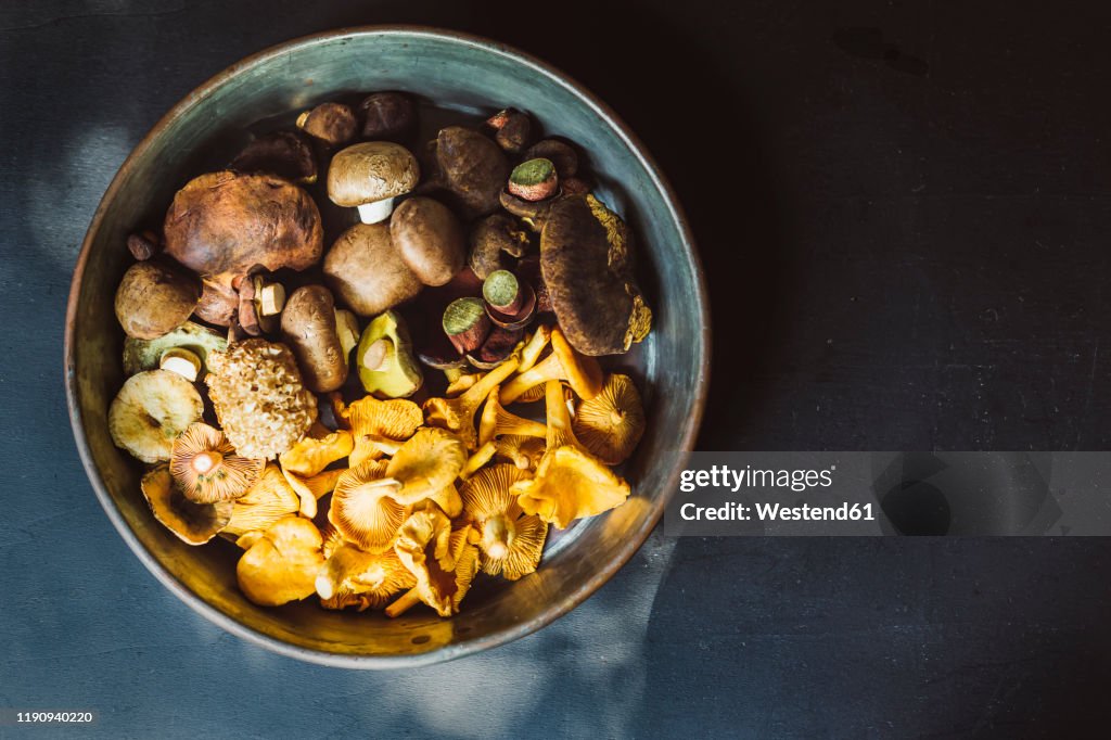 Directly above shot of various mushrooms in container on table