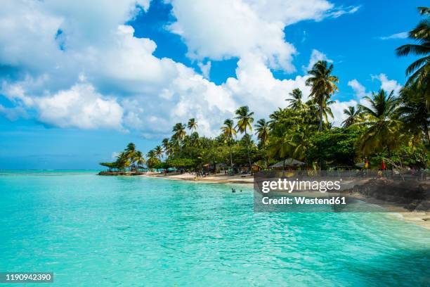 scenic view of palm trees at pigeon point beach against cloudy sky, trinidad and tobago, caribbean - trinité et tobago photos et images de collection