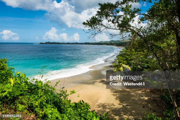 scenic view of turtle beach against cloudy sky at tobago, caribbean - トリニダードトバゴ共和国 ストックフォトと画像