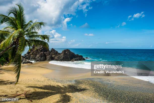 scenic view of sea against blue sky at tobago during sunny day, caribbean - tobago stock pictures, royalty-free photos & images