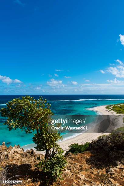 scenic view of barbuda island against blue sky during sunny day, caribbean - barbuda stock pictures, royalty-free photos & images