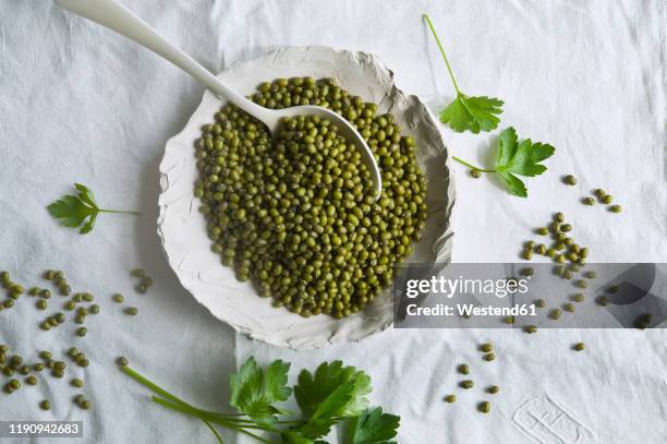 directly above shot of mung beans in plate on tablecloth - mung bean stock pictures, royalty-free photos & images
