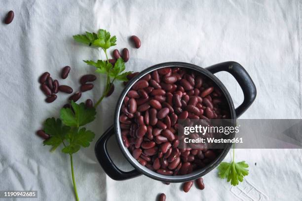 directly above shot of kidney beans in cooking pan on tablecloth - kidney bean stock pictures, royalty-free photos & images