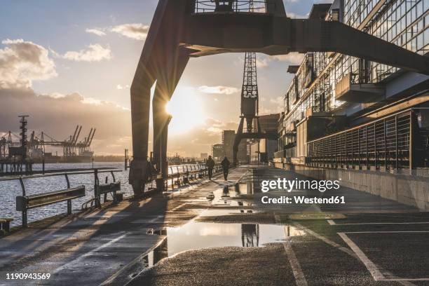 diminishing perspective of wet footpath by elbe river during sunset, hamburg, germany - hamburg germany port stock pictures, royalty-free photos & images