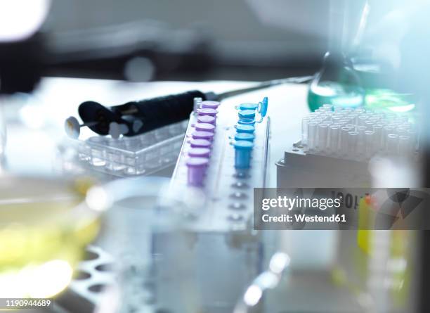Lab Getting High High Containment Lab Photos and Premium High Res Pictures - Getty Images
