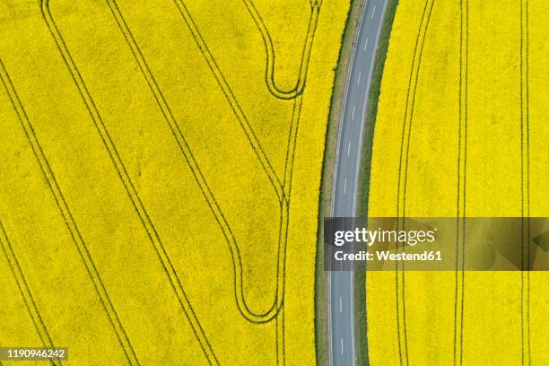 germany, bavaria, aerial view of empty highway between vast rapeseed fields in spring - rapeseed stock pictures, royalty-free photos & images