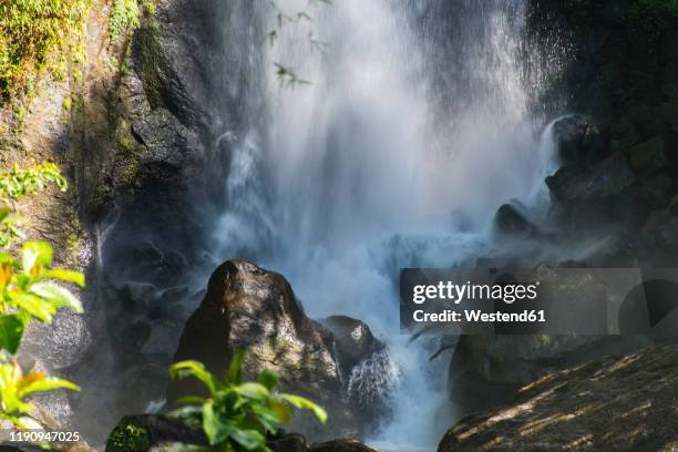 view of trafalgar falls splashing on rocks in morne trois pitons national park, dominica - dominica stock pictures, royalty-free photos & images