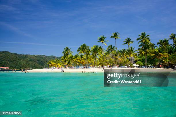 scenic view of palm trees growing at beach against blue sky at samana peninsula, dominican republic - dominican republic stock pictures, royalty-free photos & images