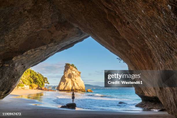 new zealand, north island, waikato, silhouette of woman standing under natural arch incathedral cove - cathedral cove imagens e fotografias de stock