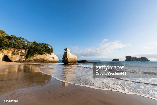 new zealand, north island, waikato, smiling sphinx rock and natural arch in cathedral cove - cathedral cove stock pictures, royalty-free photos & images