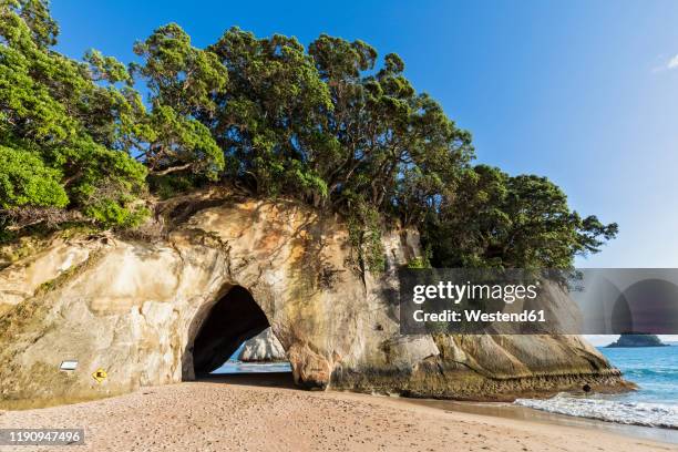 new zealand, north island, waikato, natural arch of cathedral cove - cathedral cove stock pictures, royalty-free photos & images