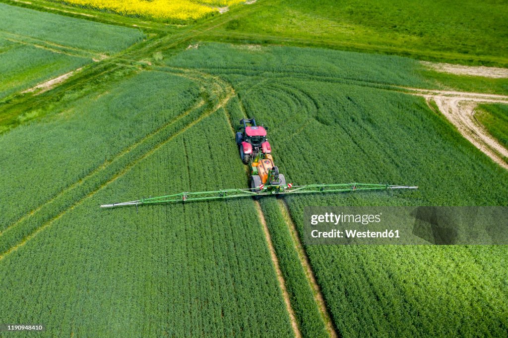 Germany, Hessen, Wetterau, aerial view of field