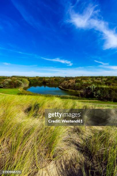 netherlands, zeeland, vlissingen, seaside landscape - zeeland netherlands stock pictures, royalty-free photos & images