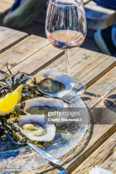 netherlands, zeeland, yerseke, fine de claire oysters - zeeland 個照片及圖片檔