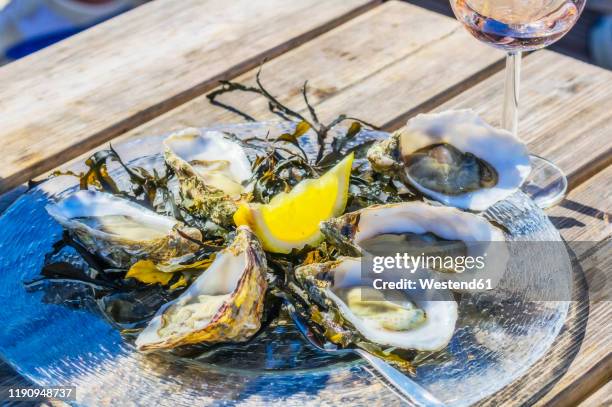 netherlands, zeeland, yerseke, finedeclaire oysters - zeeland stock pictures, royalty-free photos & images