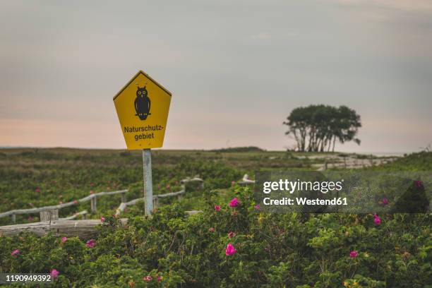 germany, schleswig-holstein, schleimunde, owl sign on fence in schleimunde nature reserve seen at dusk - naturreservat stock-fotos und bilder