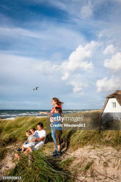 family in a beach dune looking at view, darss, mecklenburg-western pomerania, germany - mecklenburg vorpommern 個照片及圖片檔