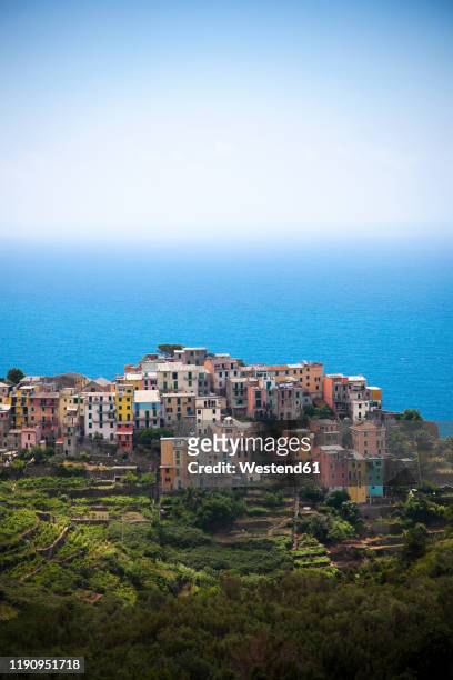 corniglia at the mediterranean sea, liguria, cinque terre, italy - corniglia stock pictures, royalty-free photos & images