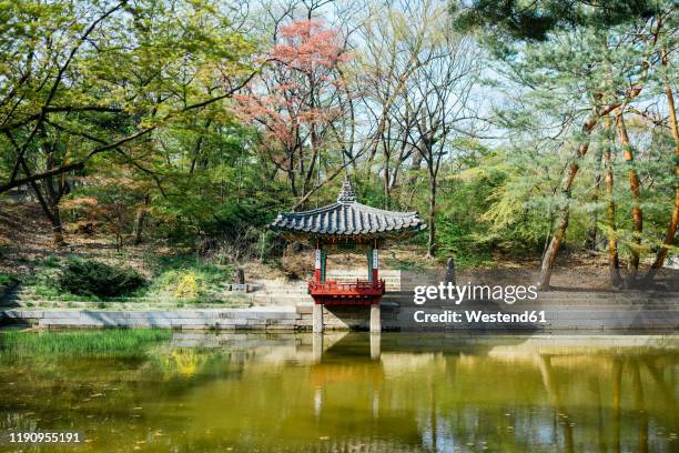 pagoda in the secret garden of changdeokgung palace, seoul, south korea - changdeokgung palace stock pictures, royalty-free photos & images