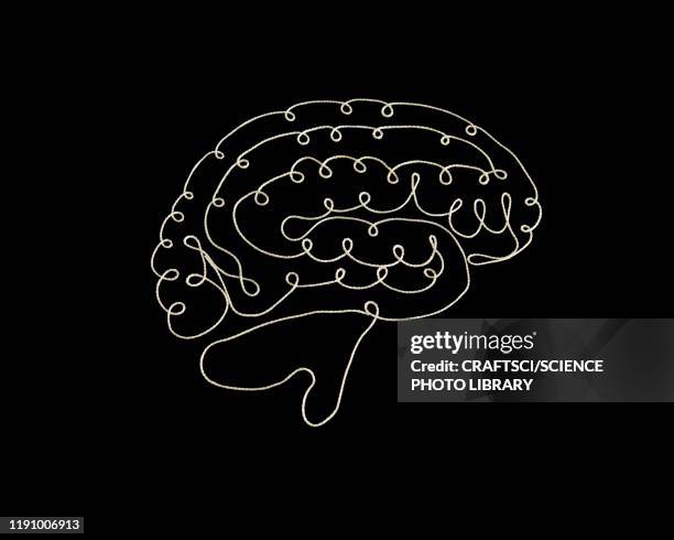 String Brain Neural Circuit Photos and Premium High Res Pictures - Getty Images
